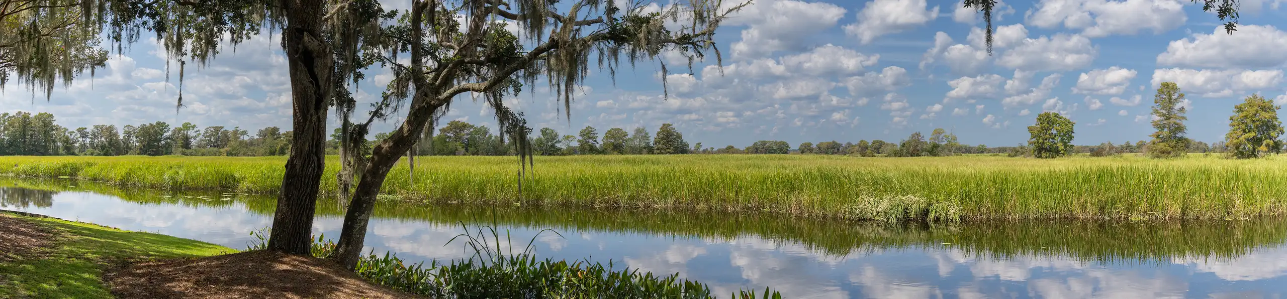 Meritus Signature Homes Where We Build Lowcountry